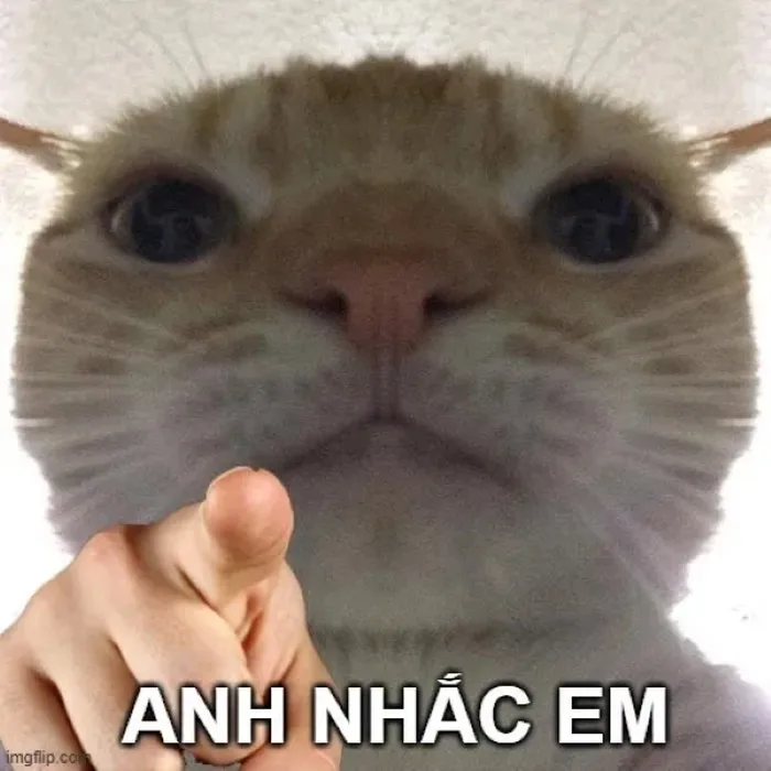 anh nhắc em meme