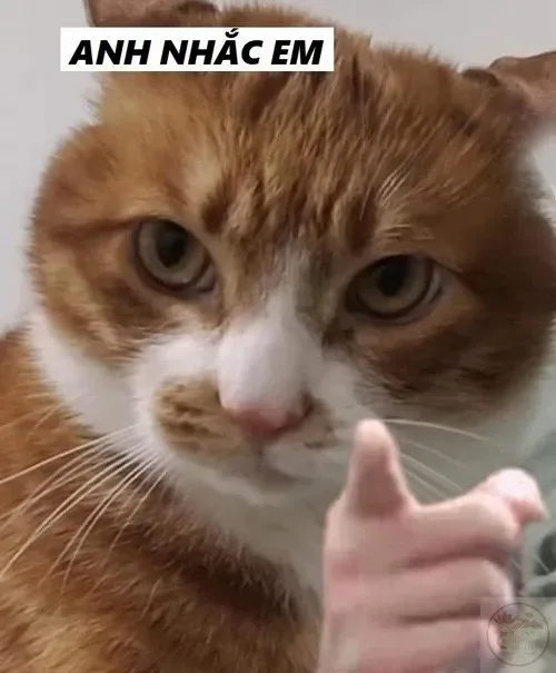 anh nhắc em meme