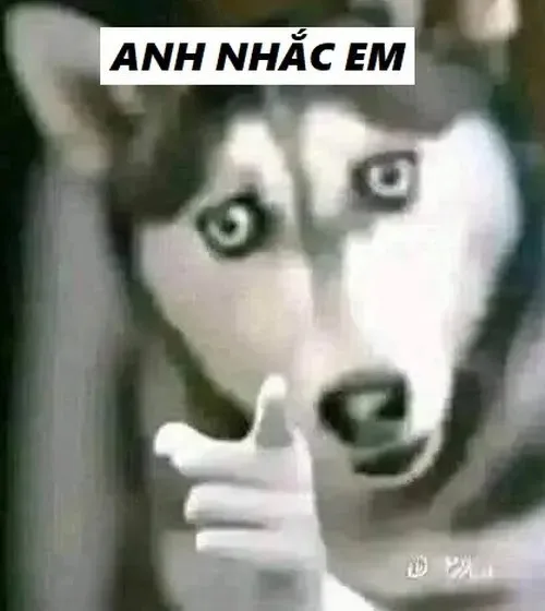 anh nhắc em meme