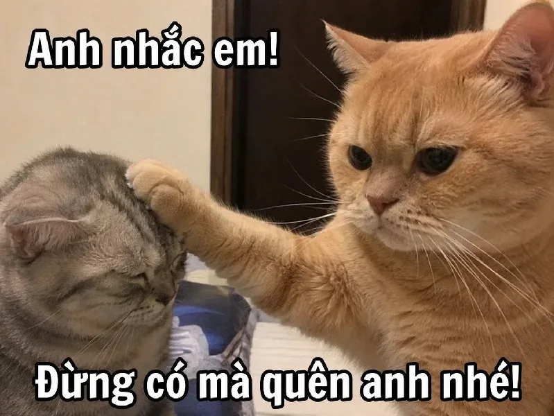 anh nhắc em meme
