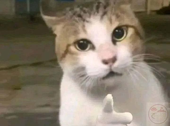 anh nhắc em meme