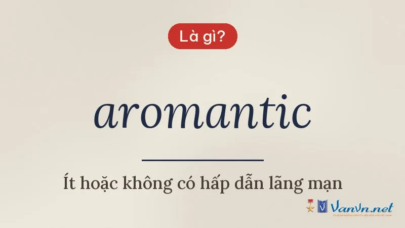 aromantic là gì