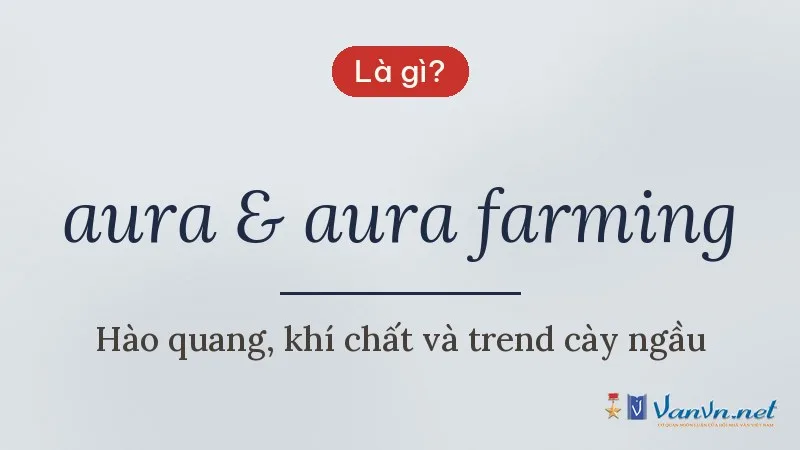 aura & aura farming là gì