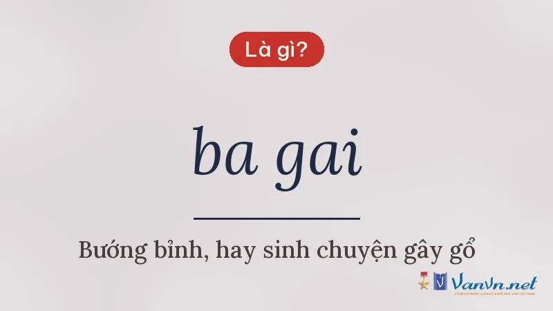 ba gai là gì