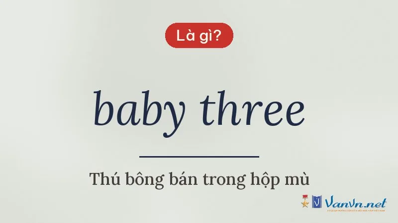 baby three là gì