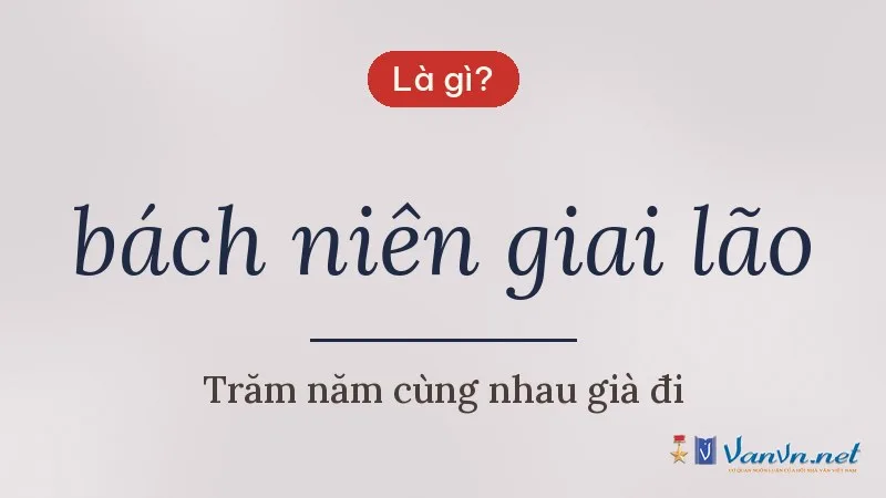 bách niên giai lão là gì