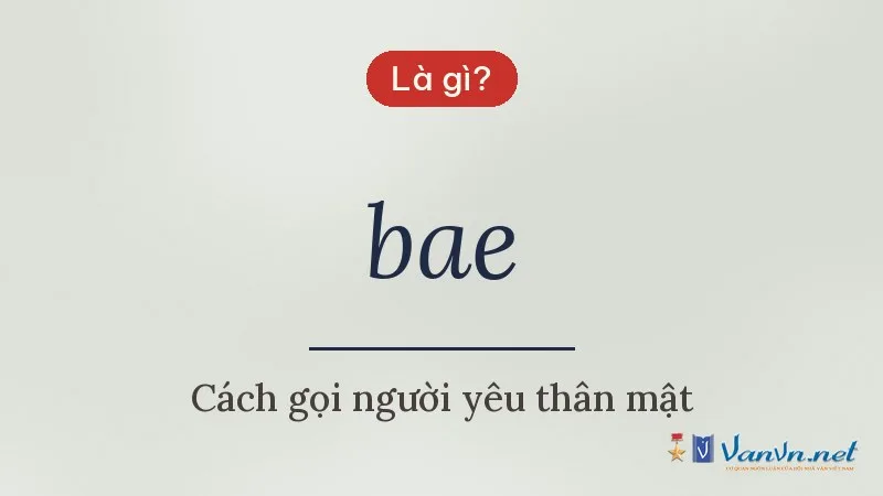 bae là gì