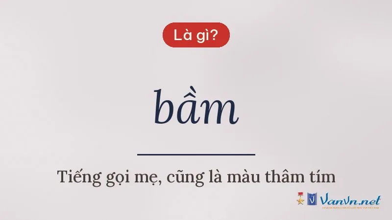 bầm là gì