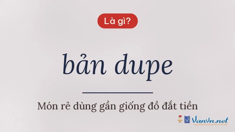 bản dupe là gì