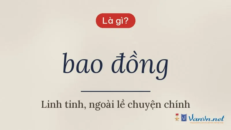 bao đồng là gì