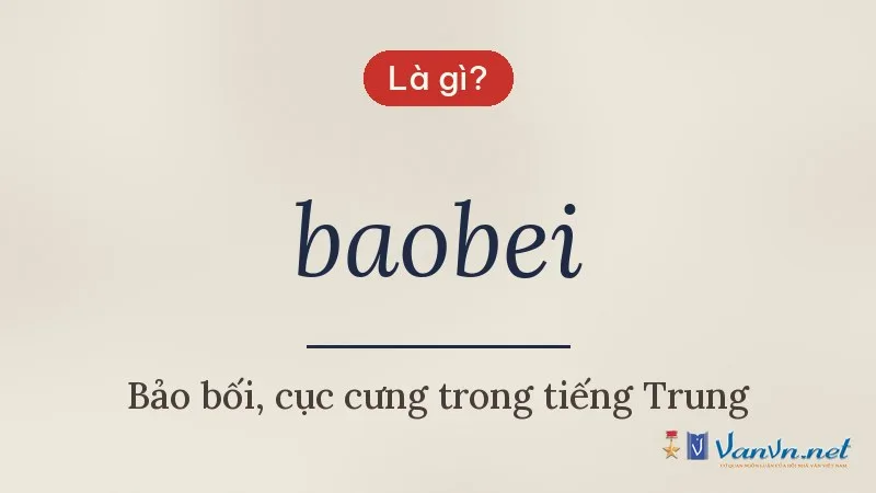 baobei là gì