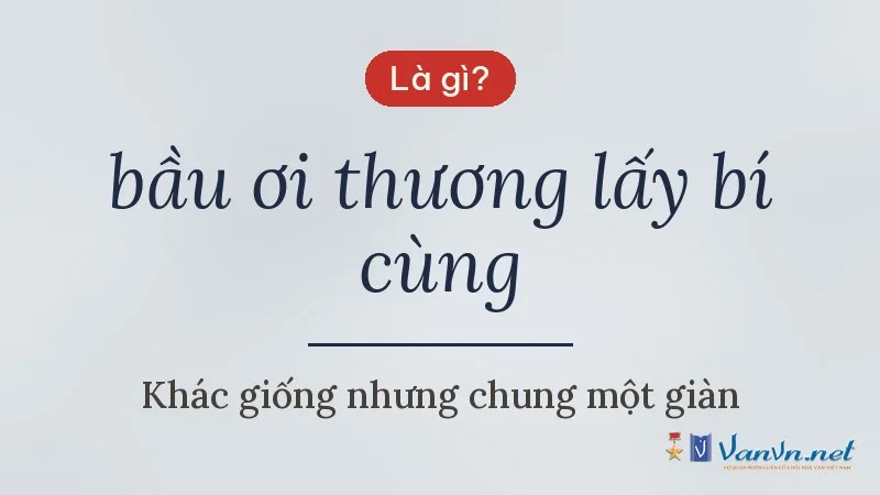 bầu ơi thương lấy bí cùng là gì