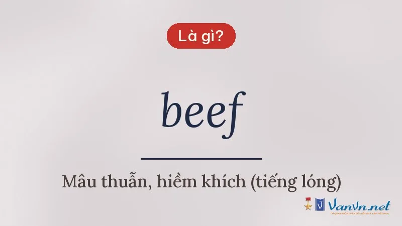 beef là gì