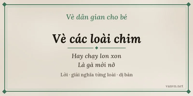 vè các loài chim hay chạy lon xon là gà mới nở