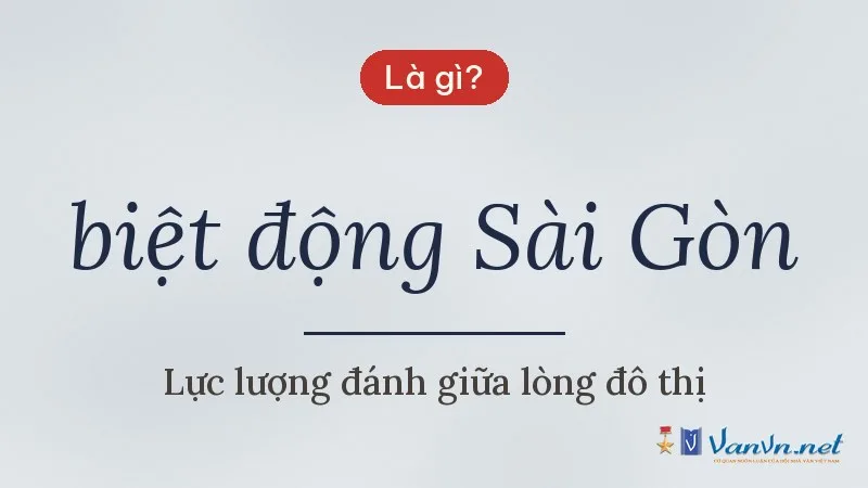 biệt động Sài Gòn là gì