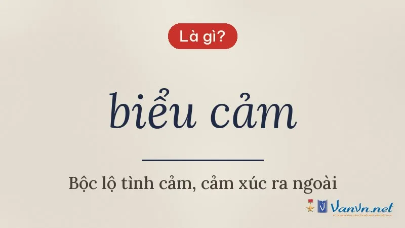 biểu cảm là gì