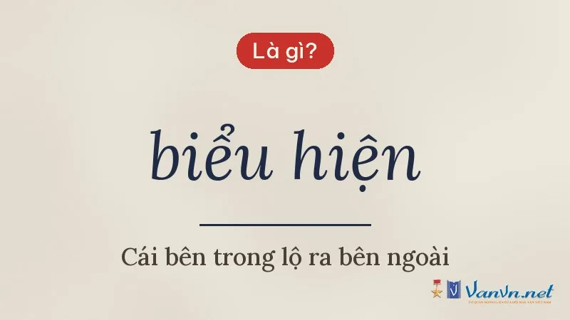 biểu hiện là gì