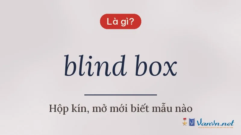 blind box là gì