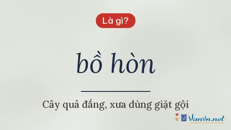 bồ hòn là gì