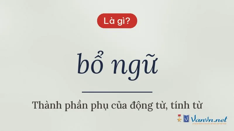 bổ ngữ là gì