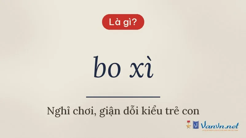 bo xì là gì