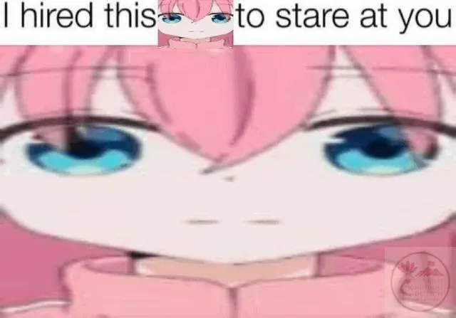 bocchi meme