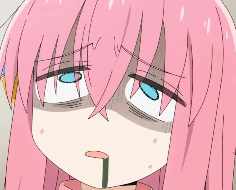 bocchi the rock meme