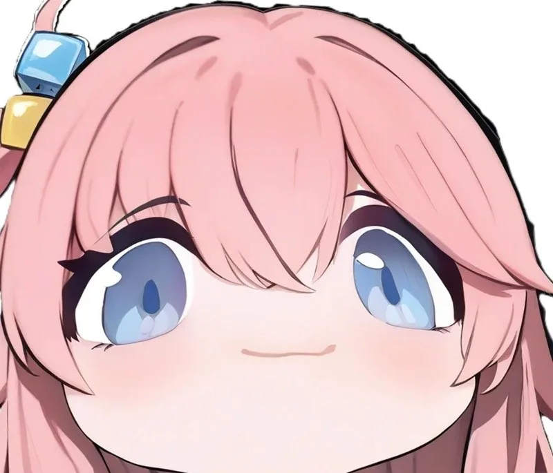 meme bocchi