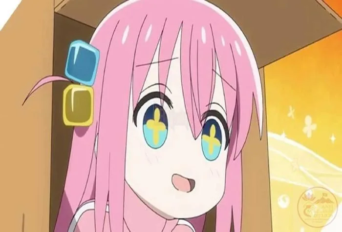 meme bocchi