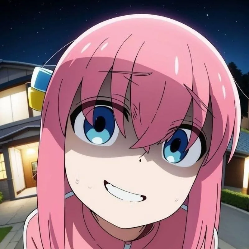 meme bocchi