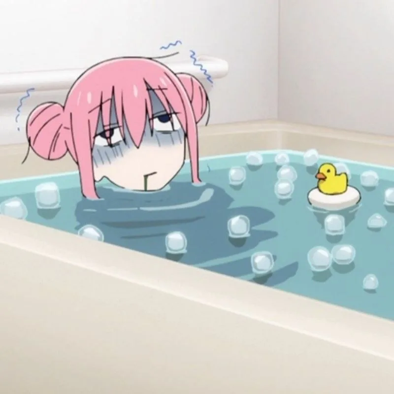 bocchi the rock meme