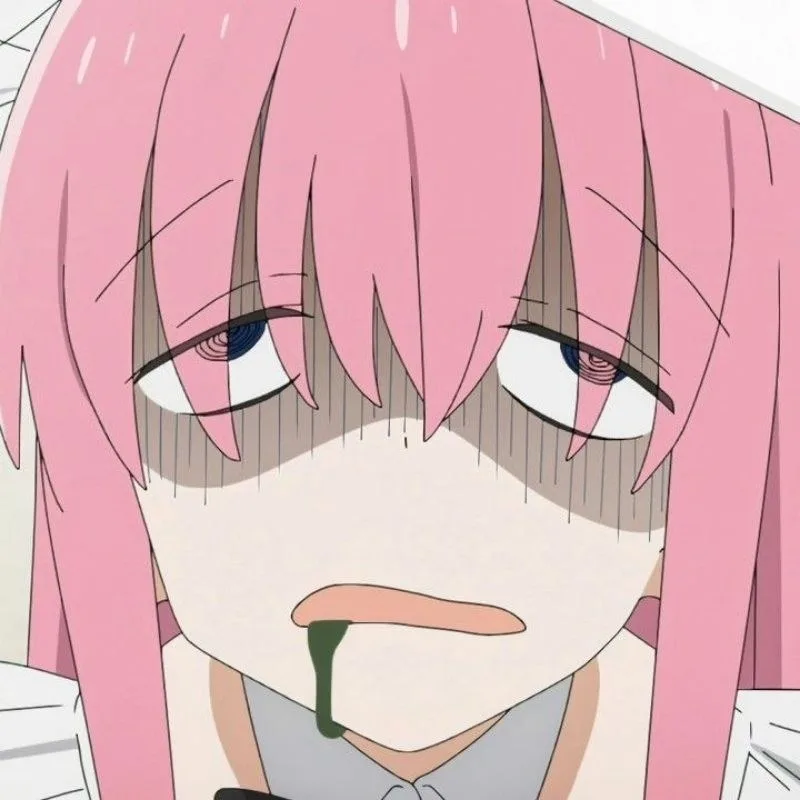 bocchi the rock meme
