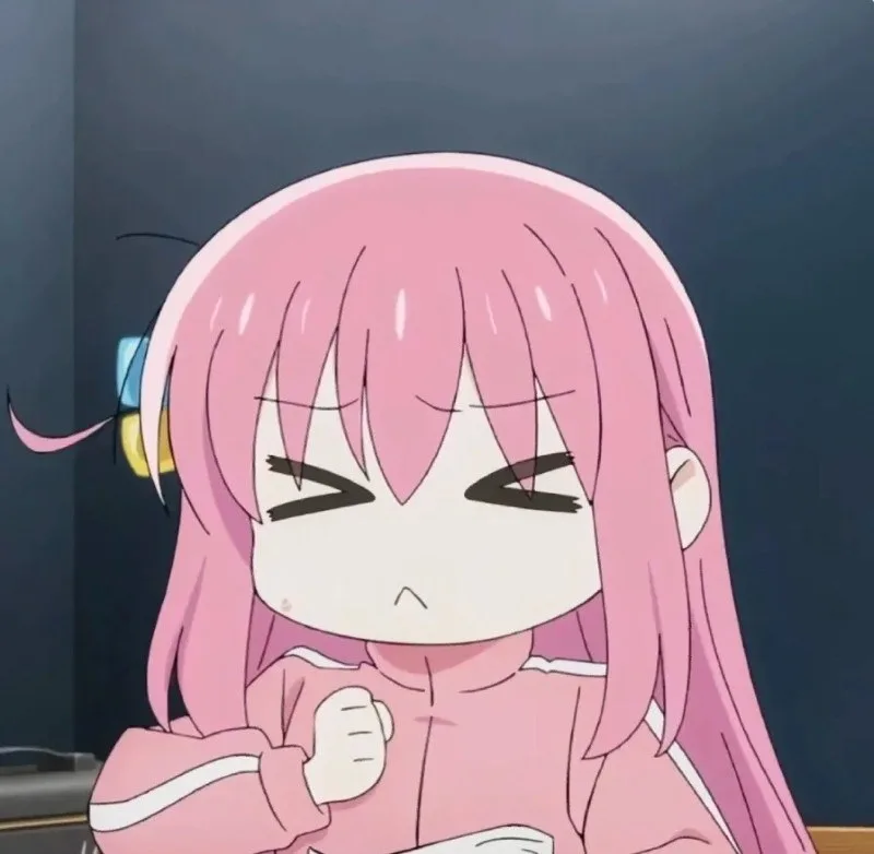 meme bocchi