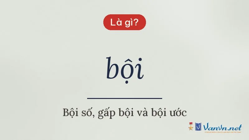 bội là gì