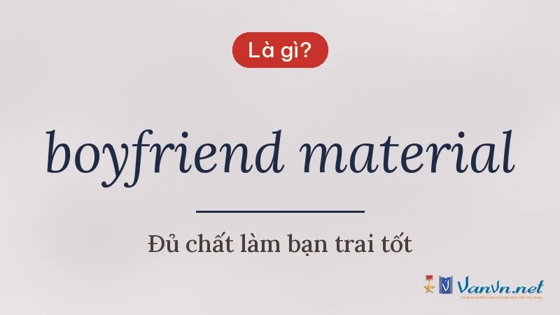 boyfriend material là gì