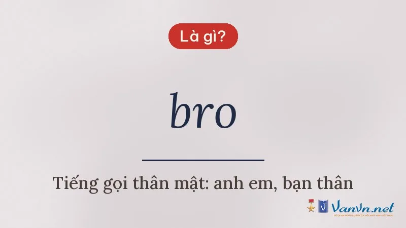 bro là gì