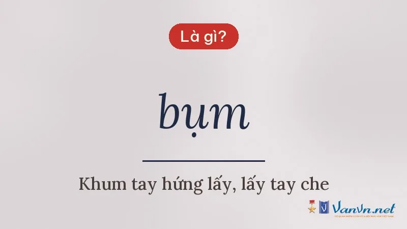 bụm là gì