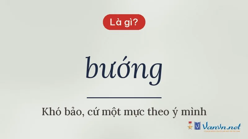 bướng là gì