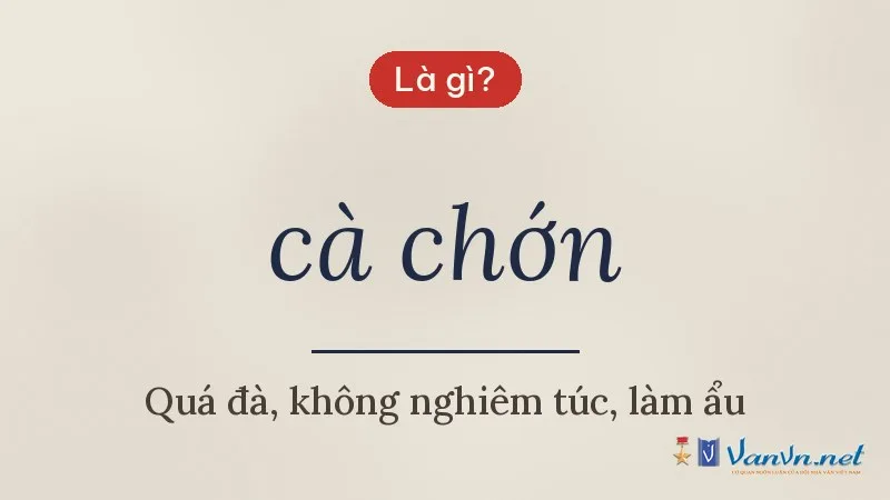 cà chớn là gì