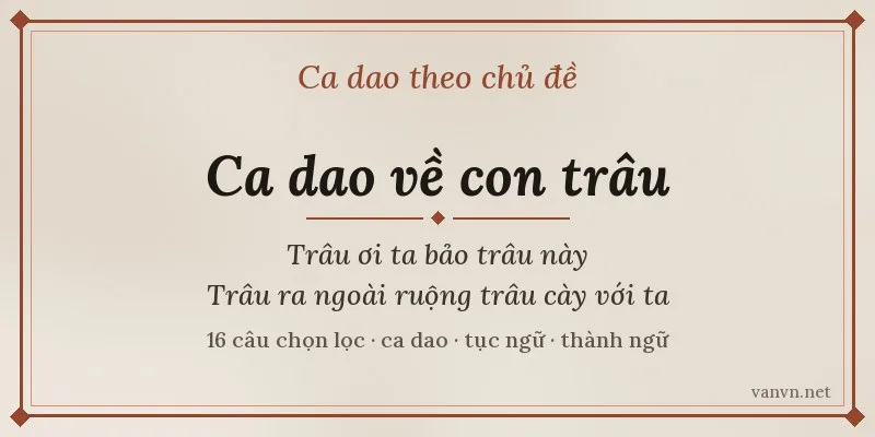 ca dao về con trâu