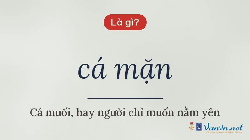 cá mặn là gì