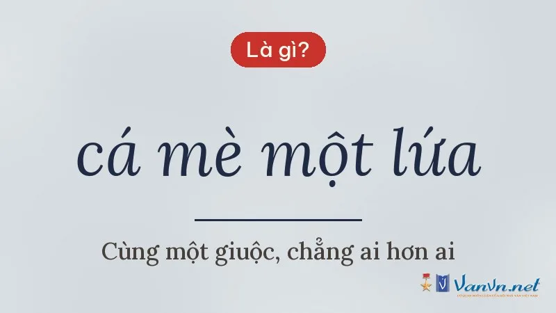 cá mè một lứa là gì
