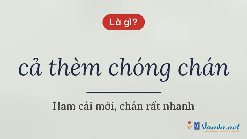 cả thèm chóng chán là gì