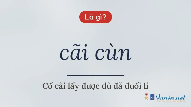 cãi cùn là gì