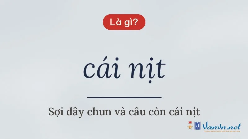 cái nịt là gì