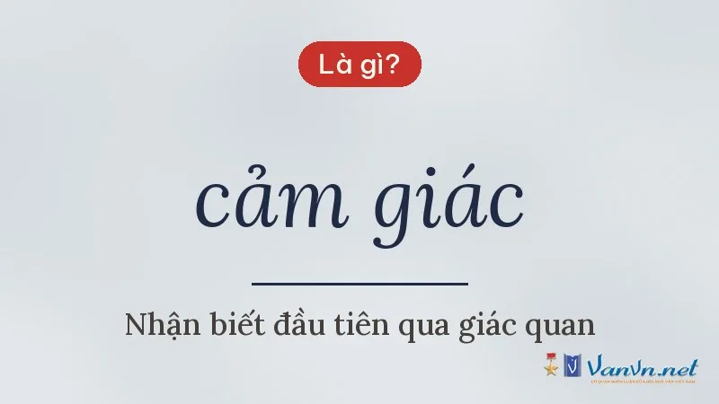 cảm giác là gì