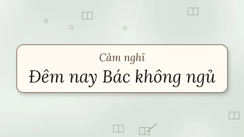cảm nghĩ về bài thơ đêm nay bác không ngủ