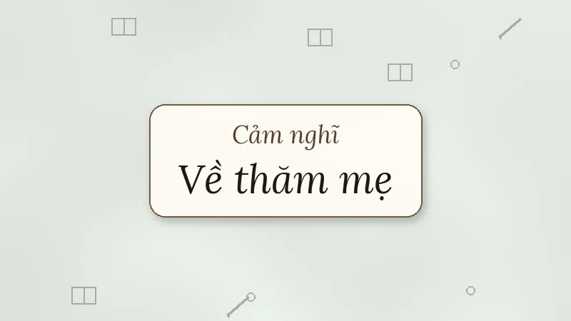 cảm nghĩ về bài thơ về thăm mẹ