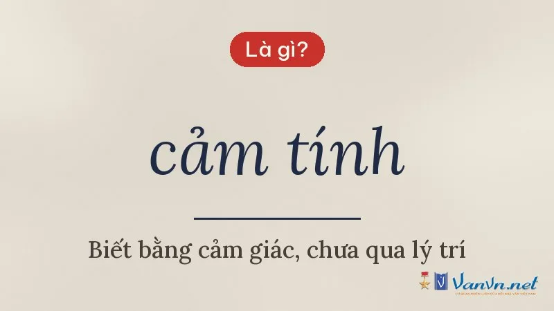 cảm tính là gì