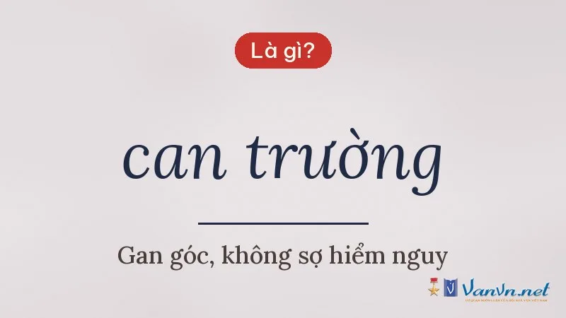 can trường là gì